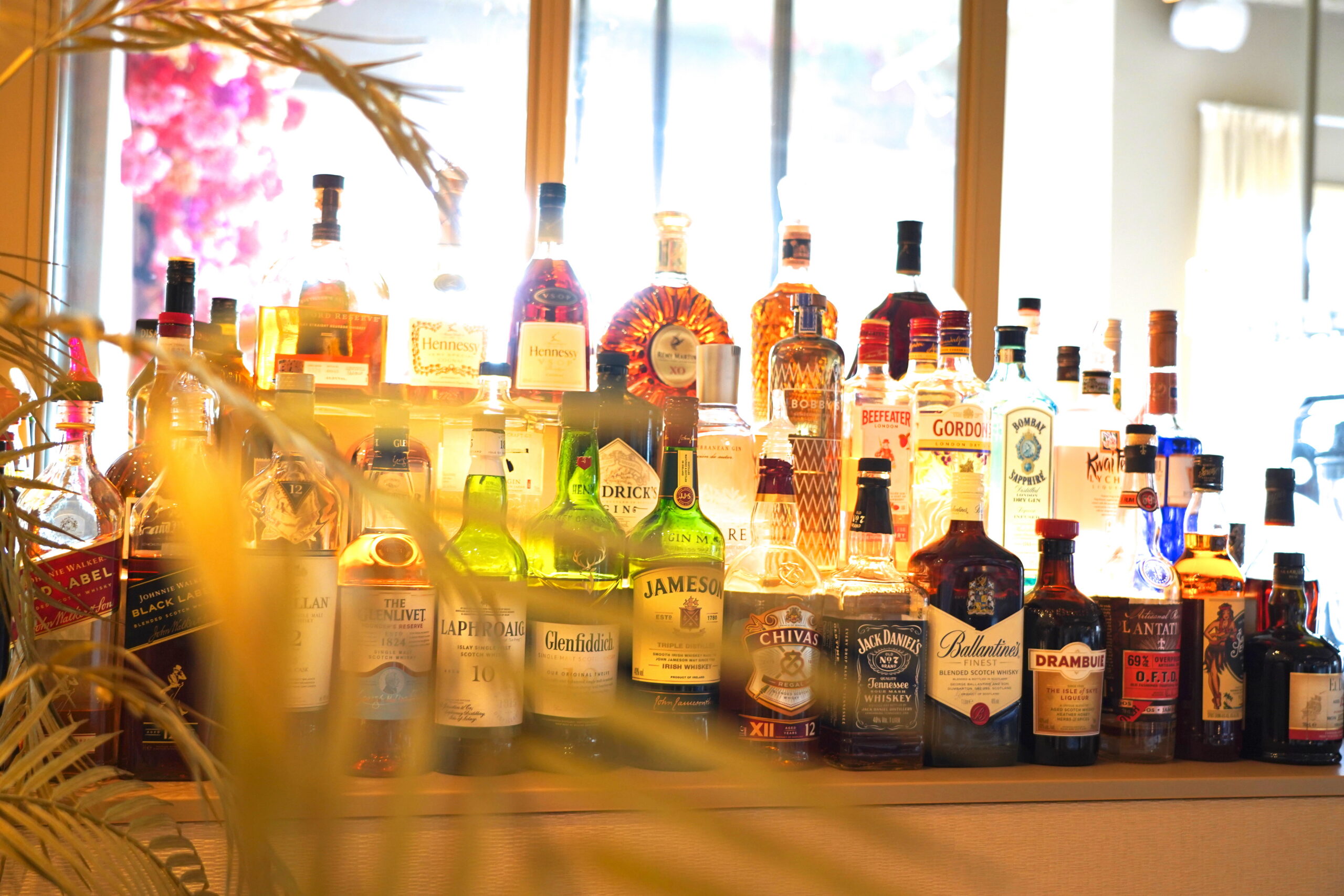Cocktailbar in Alkmaar